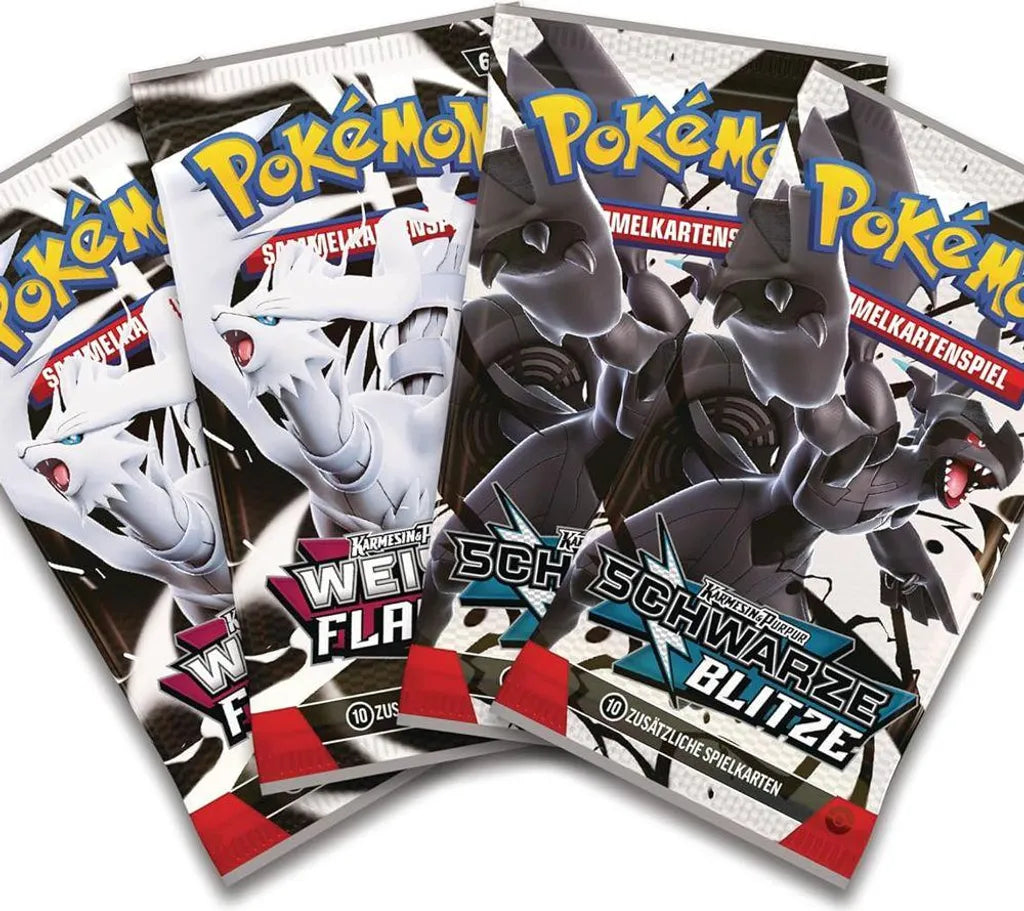 Pokémon Poster-Kollektion Einall – Schwarze Blitze & Weiße Flammen (Deutsch)