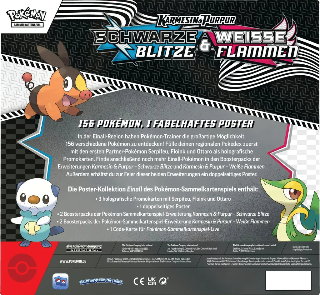 Pokémon Poster-Kollektion Einall – Schwarze Blitze & Weiße Flammen (Deutsch)