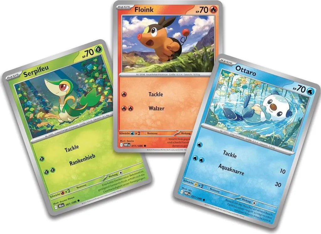 Pokémon Poster-Kollektion Einall – Schwarze Blitze & Weiße Flammen (Deutsch)
