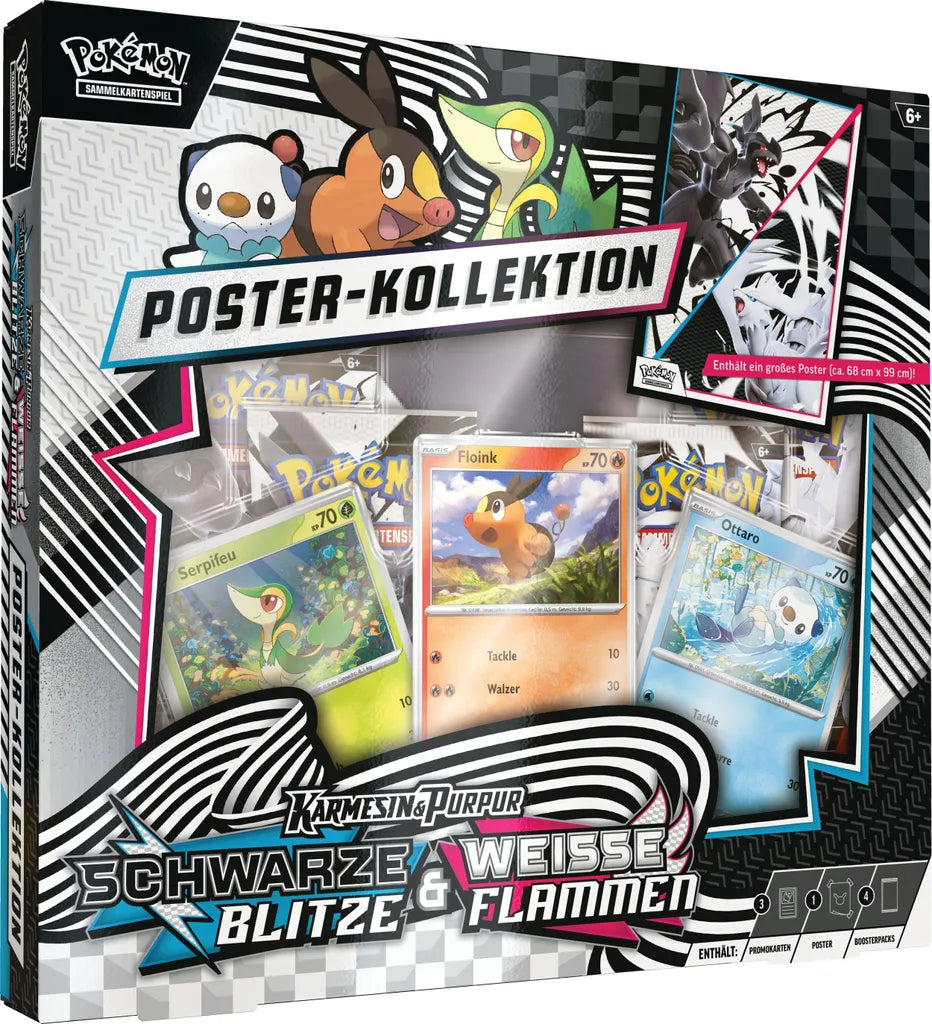 Pokémon Poster-Kollektion Einall – Schwarze Blitze & Weiße Flammen (Deutsch)
